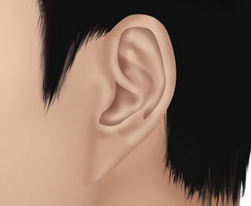 pixie ear
