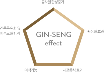 GIN-SENG 효능 다이어그램